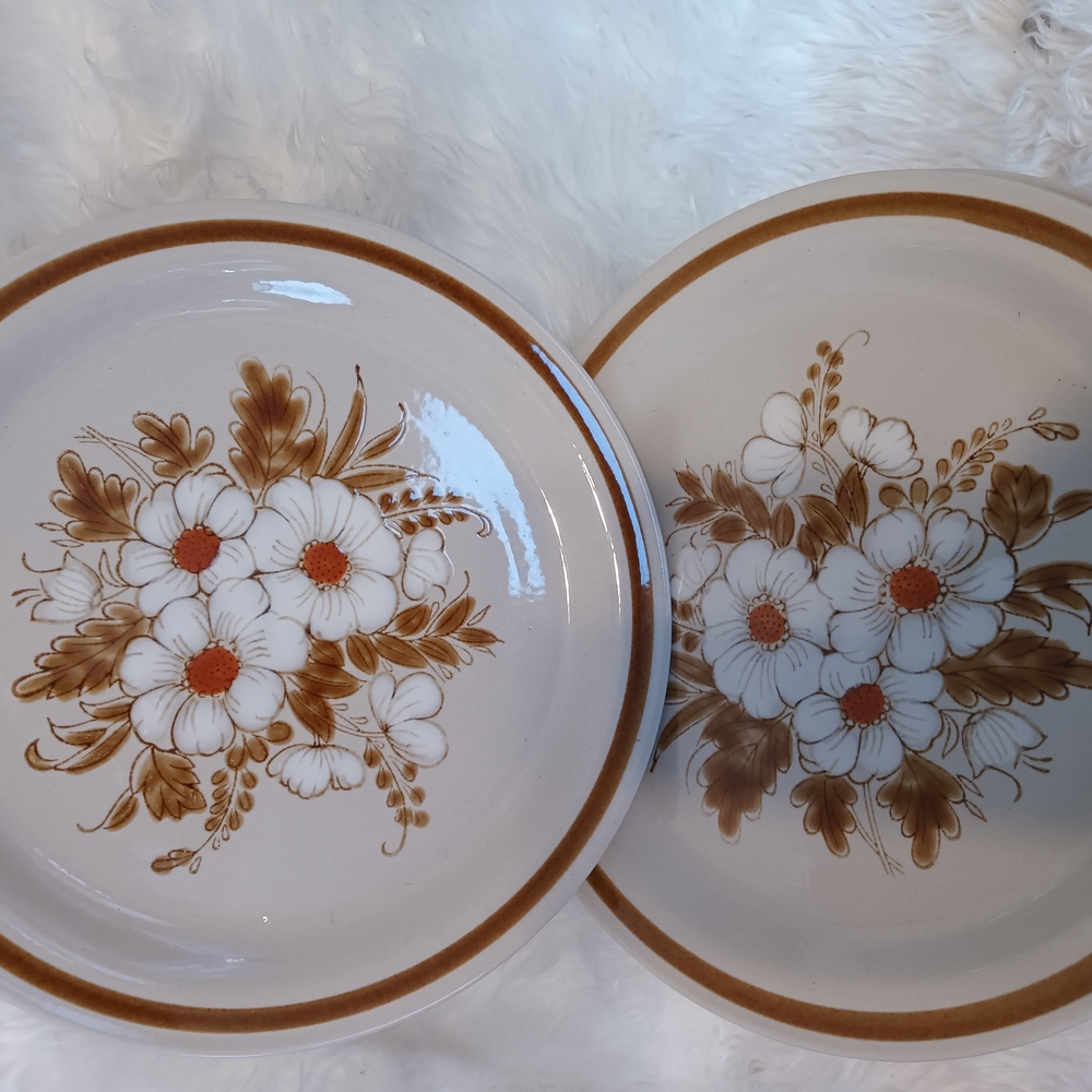 4 Floral Ceramic Dinner Plates - Brown and White